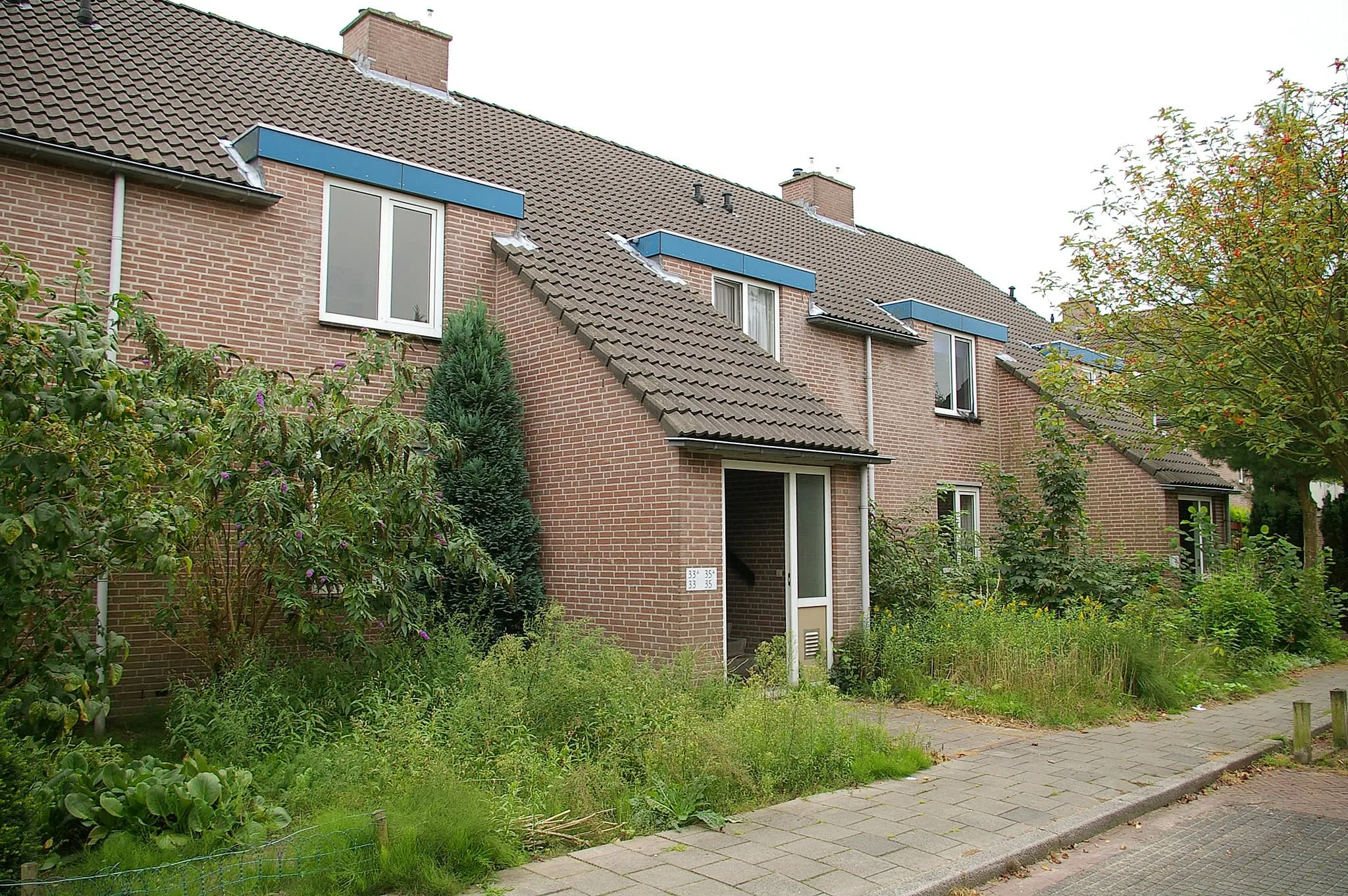 Vogelweide