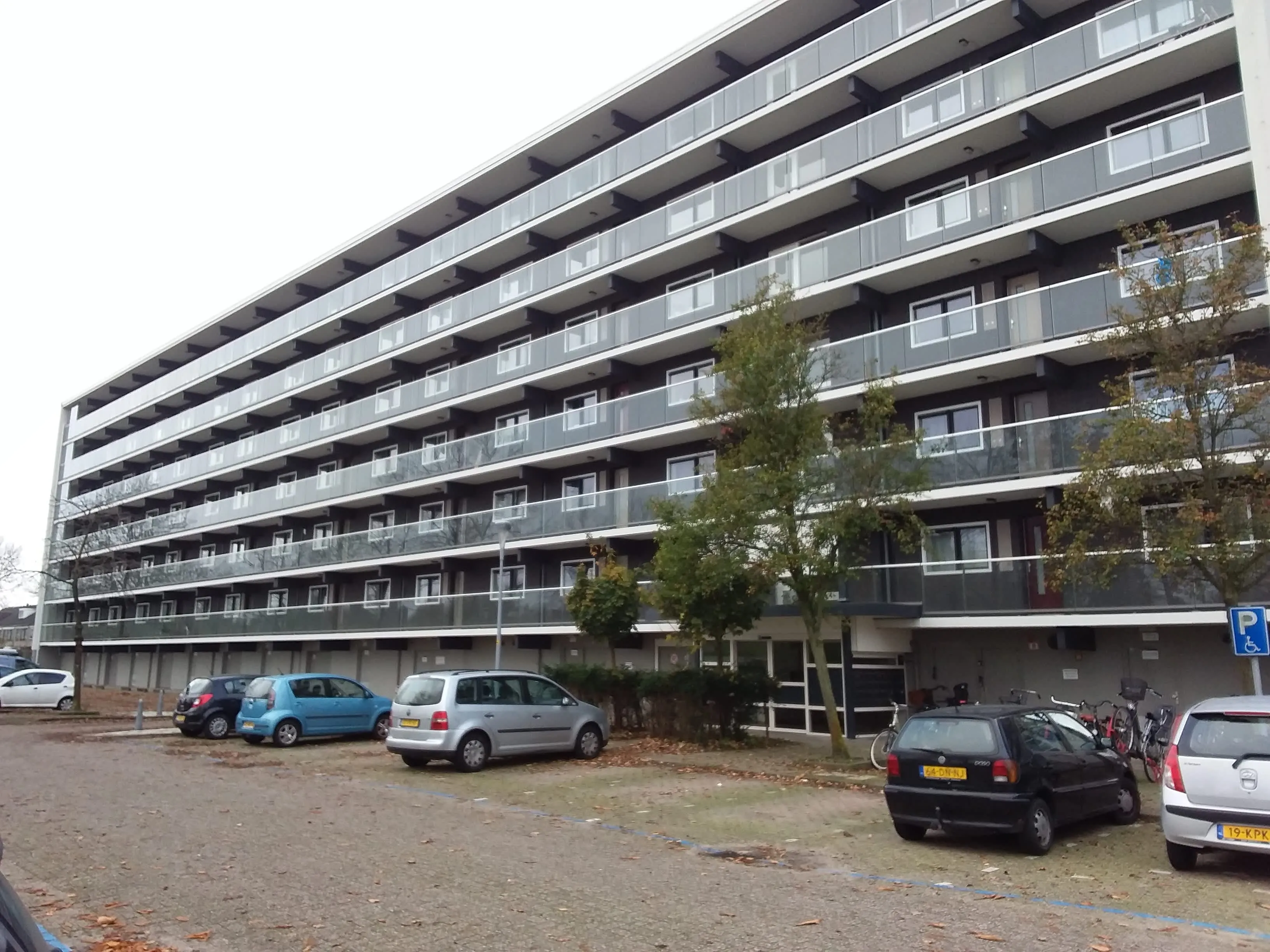 Graan voor Visch