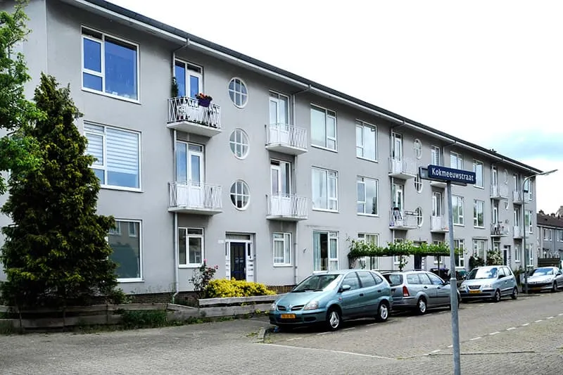 Kokmeeuwstraat