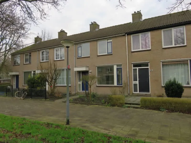 Vleugelvaren