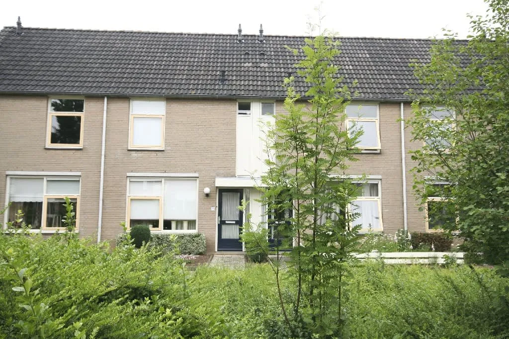 Zilverschoon