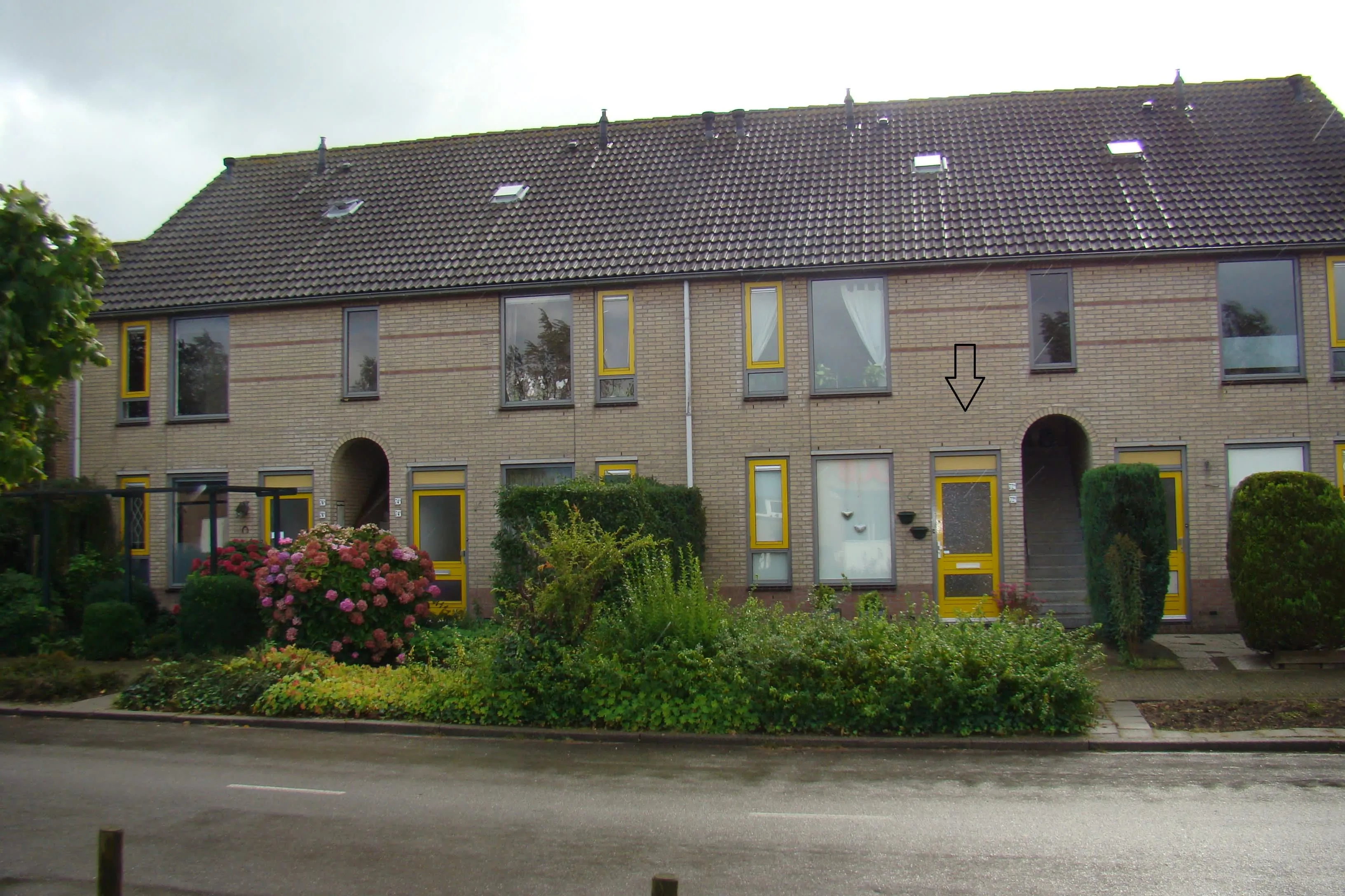 Singel