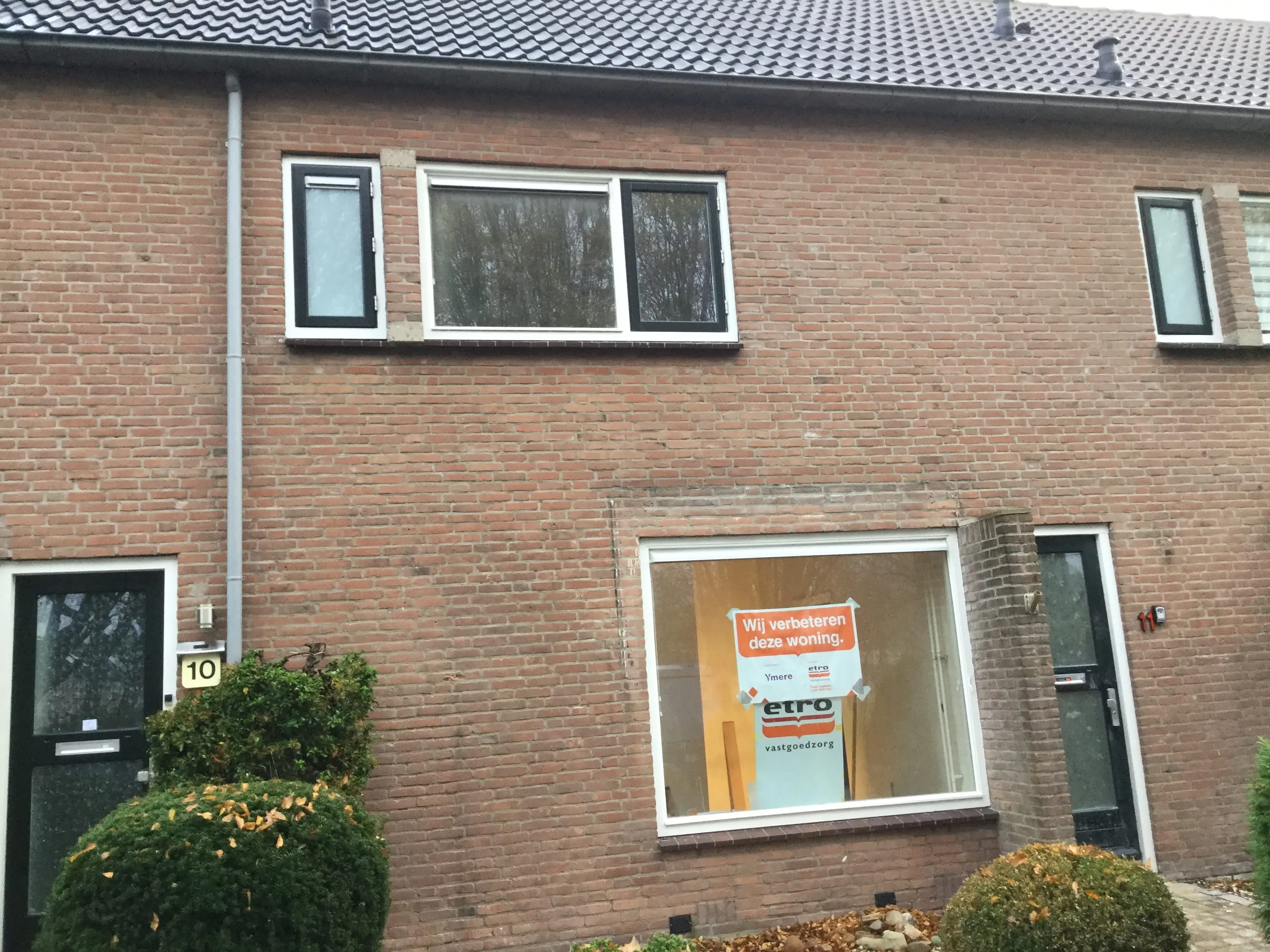 Hoornbladplantsoen