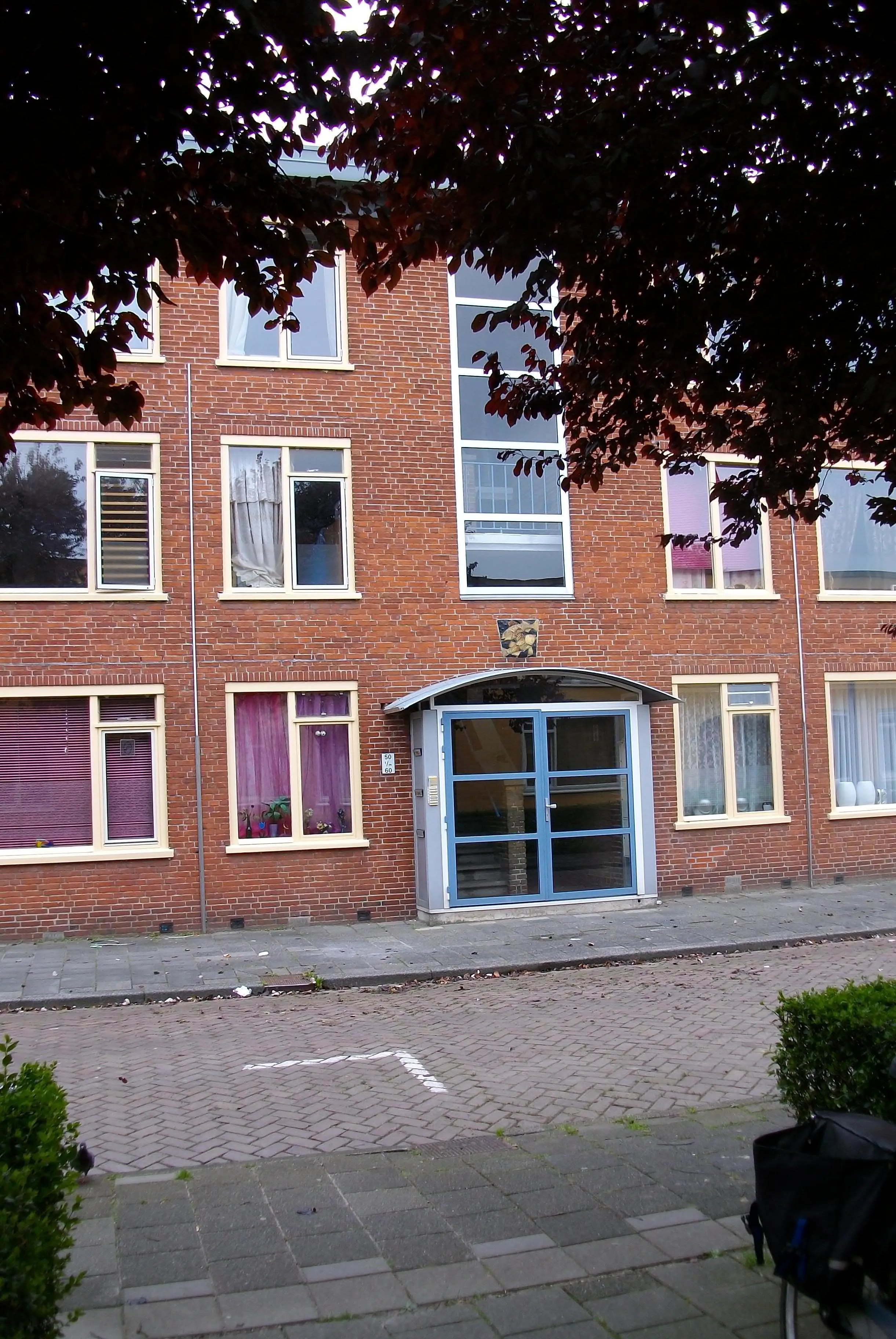 Van Slingelandtstraat