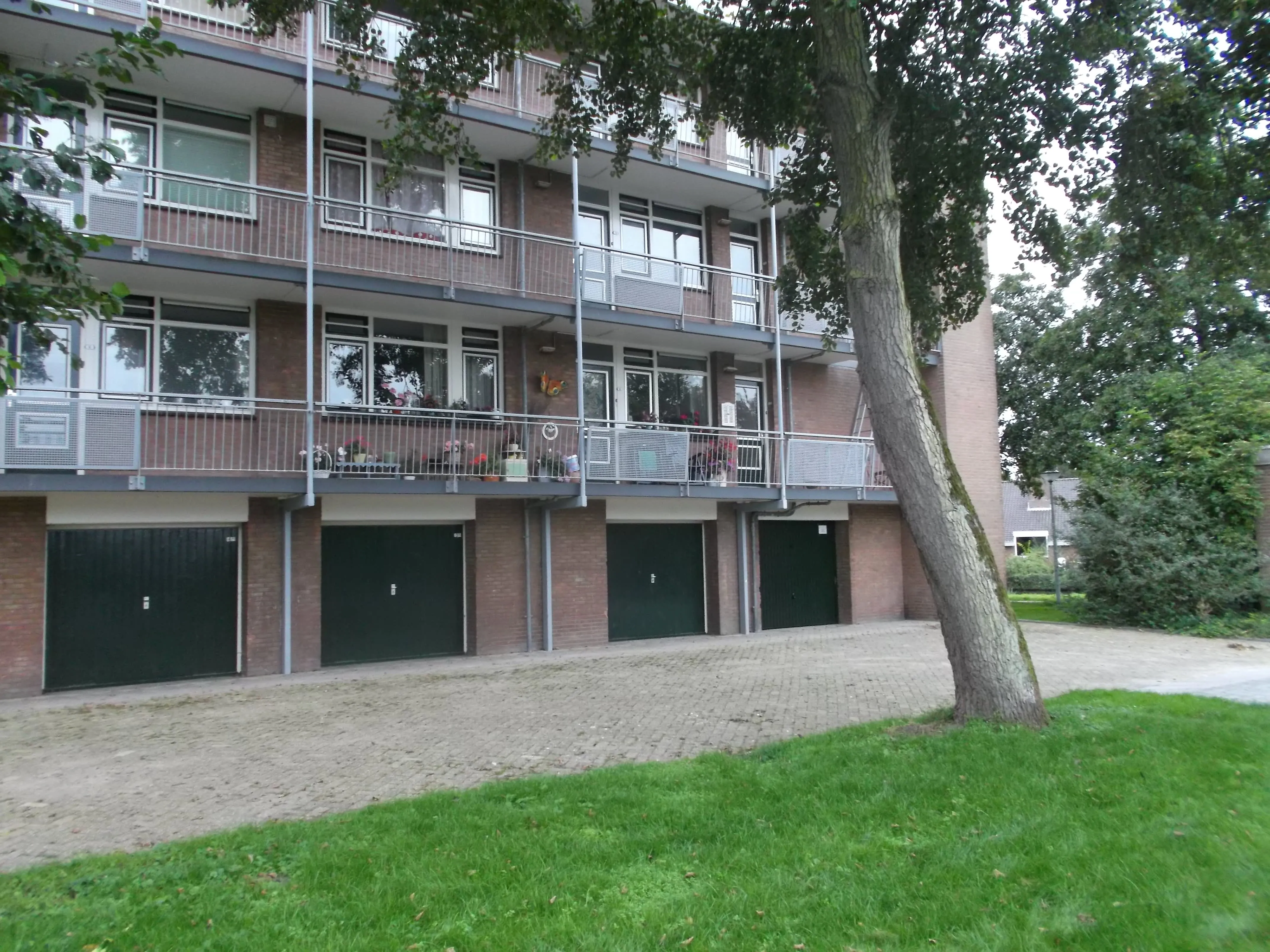 Pijpkruidstraat
