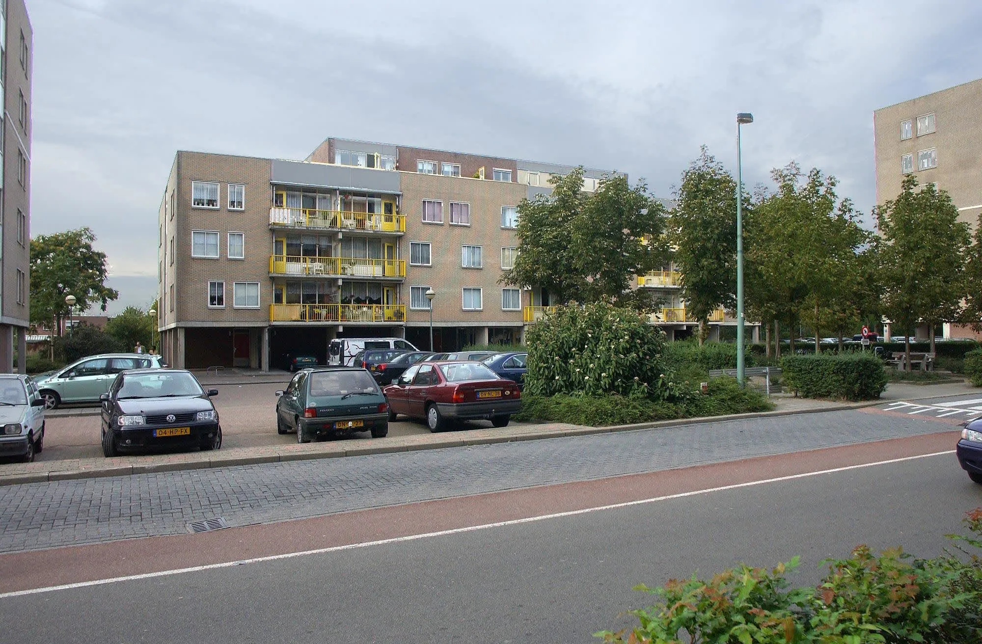 Bisonspoor