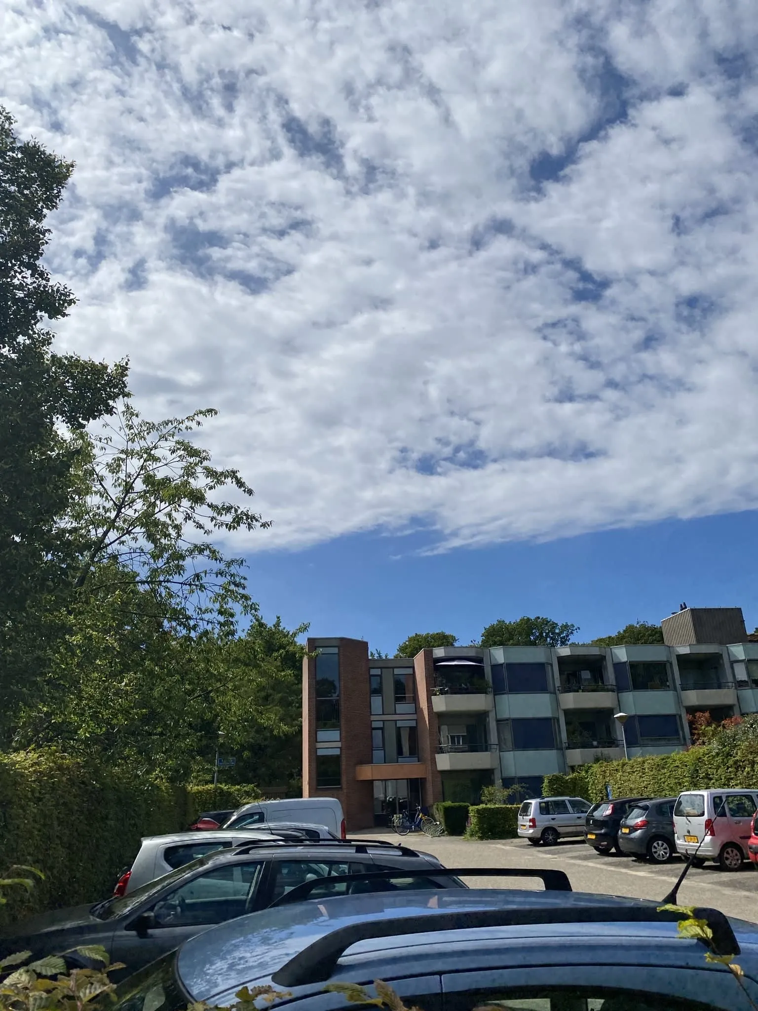 Bachweg
