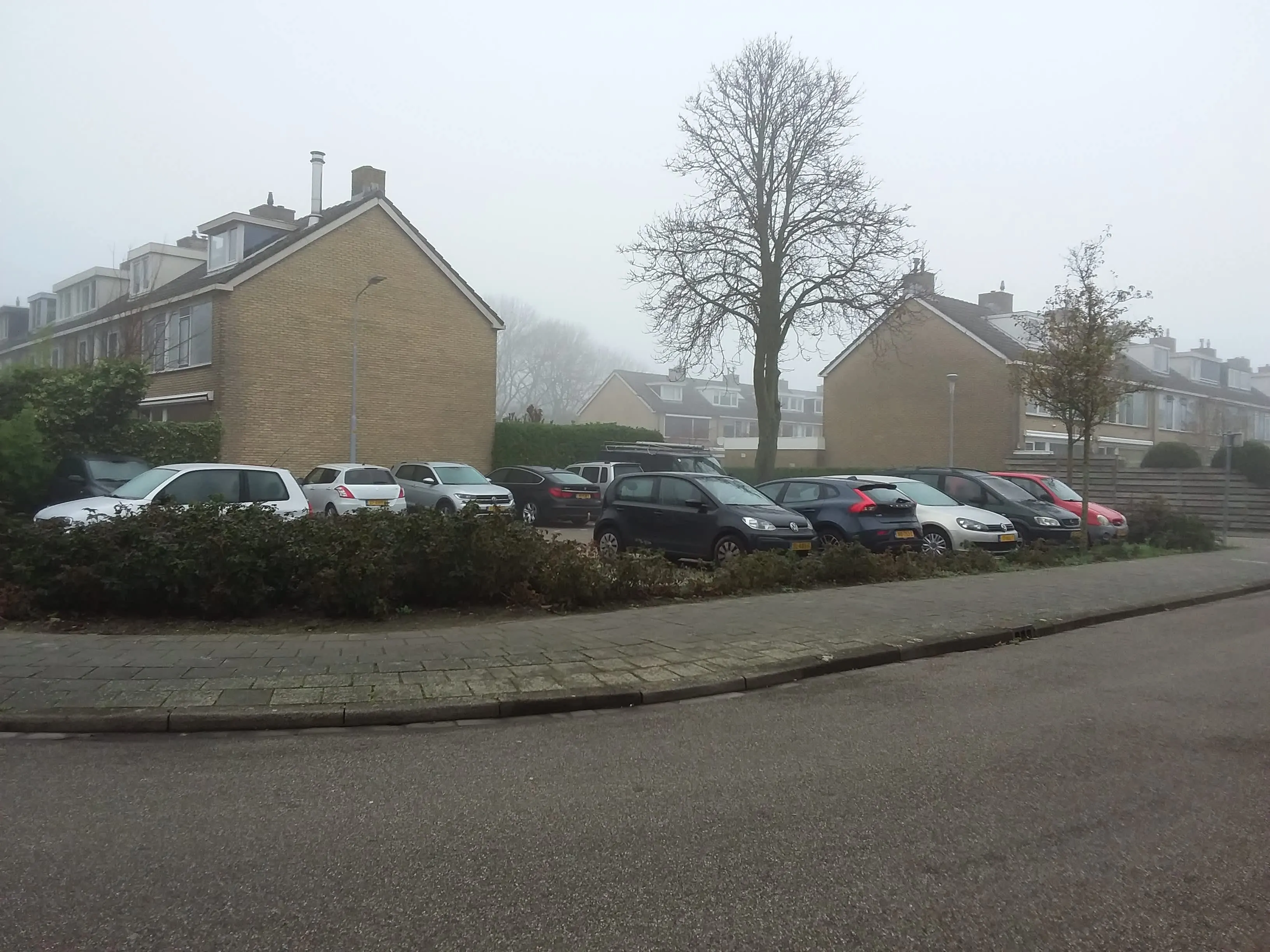 Graan voor Visch