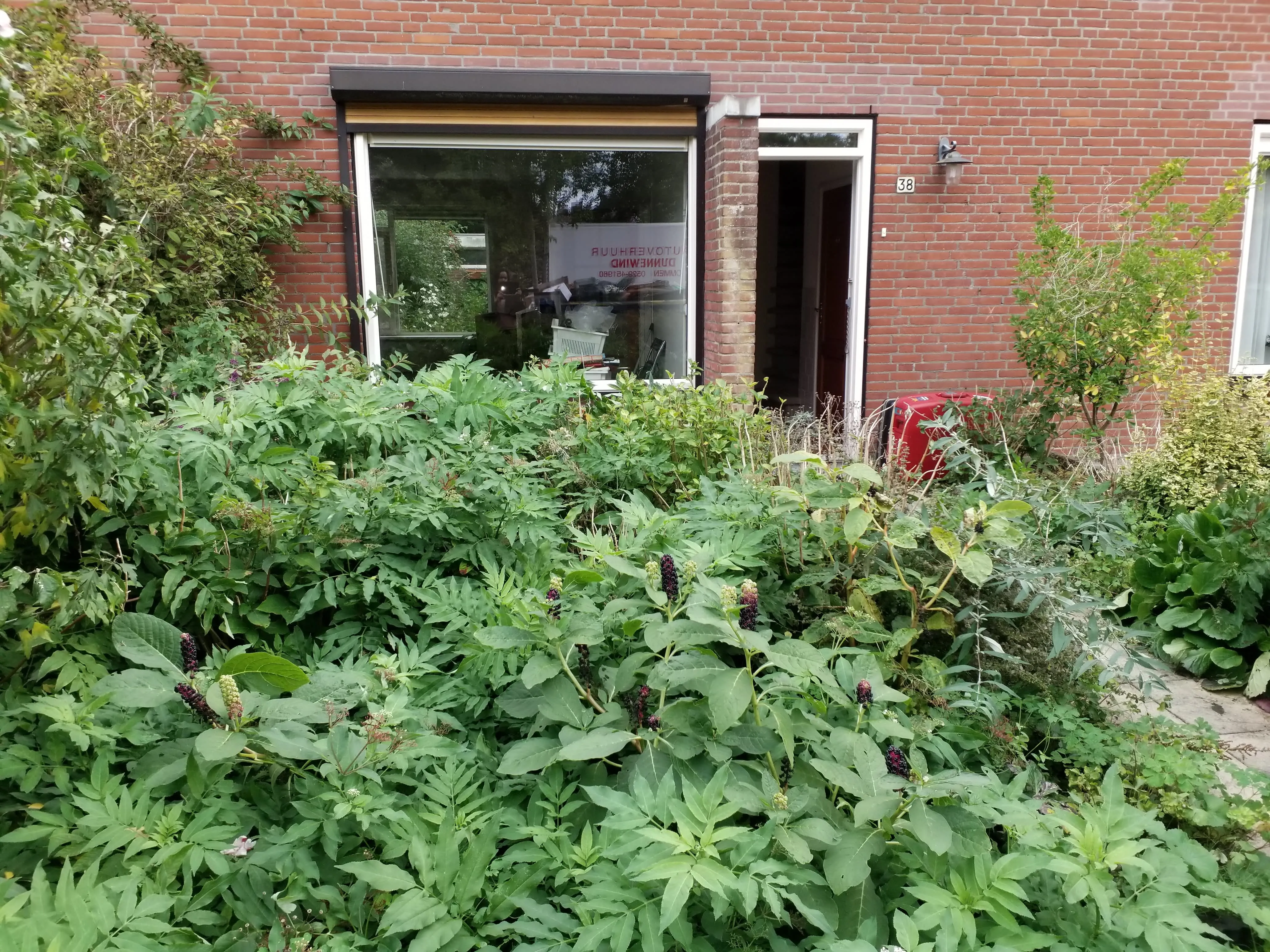 Uiverstraat