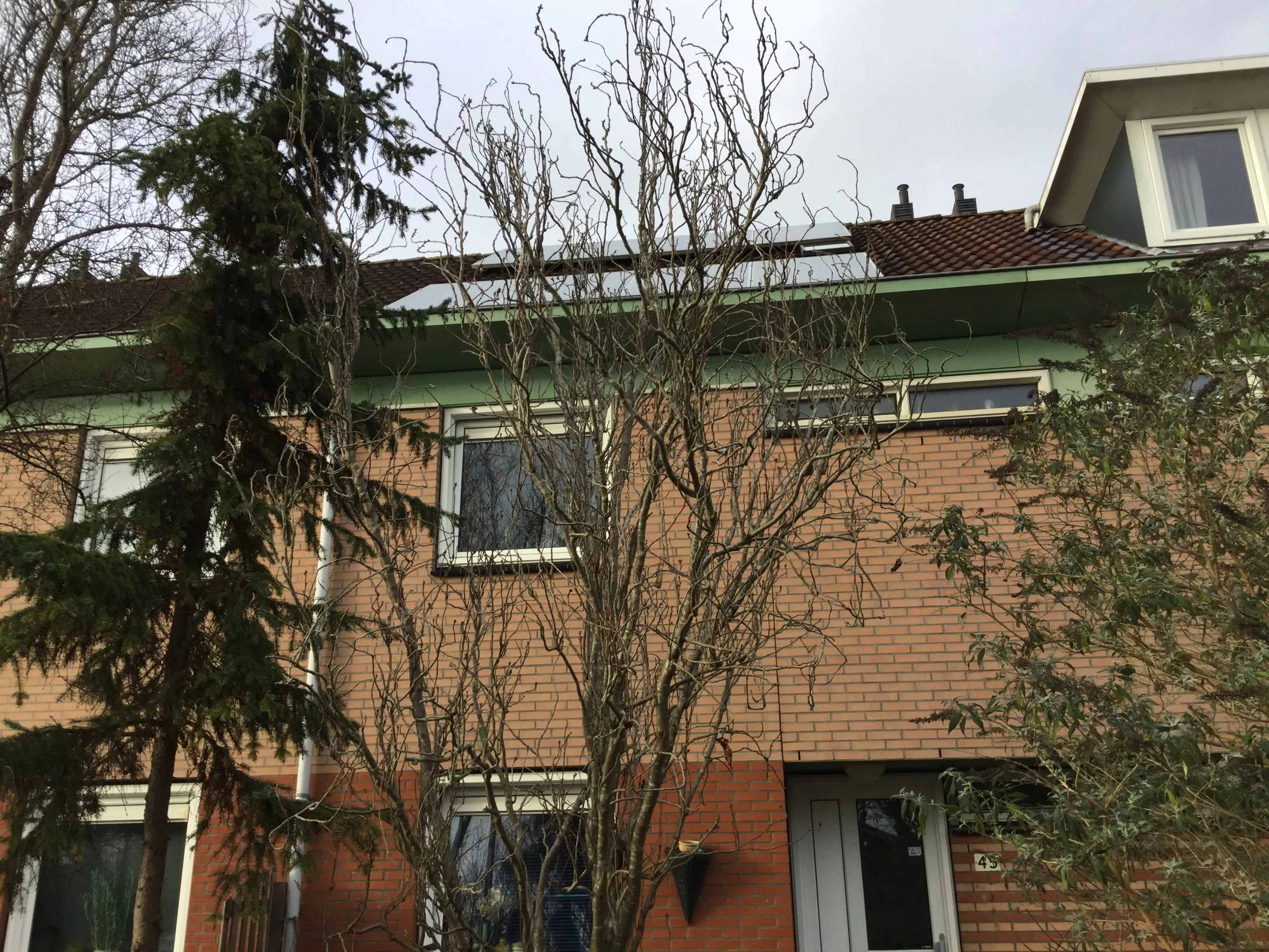Beethovenlaan