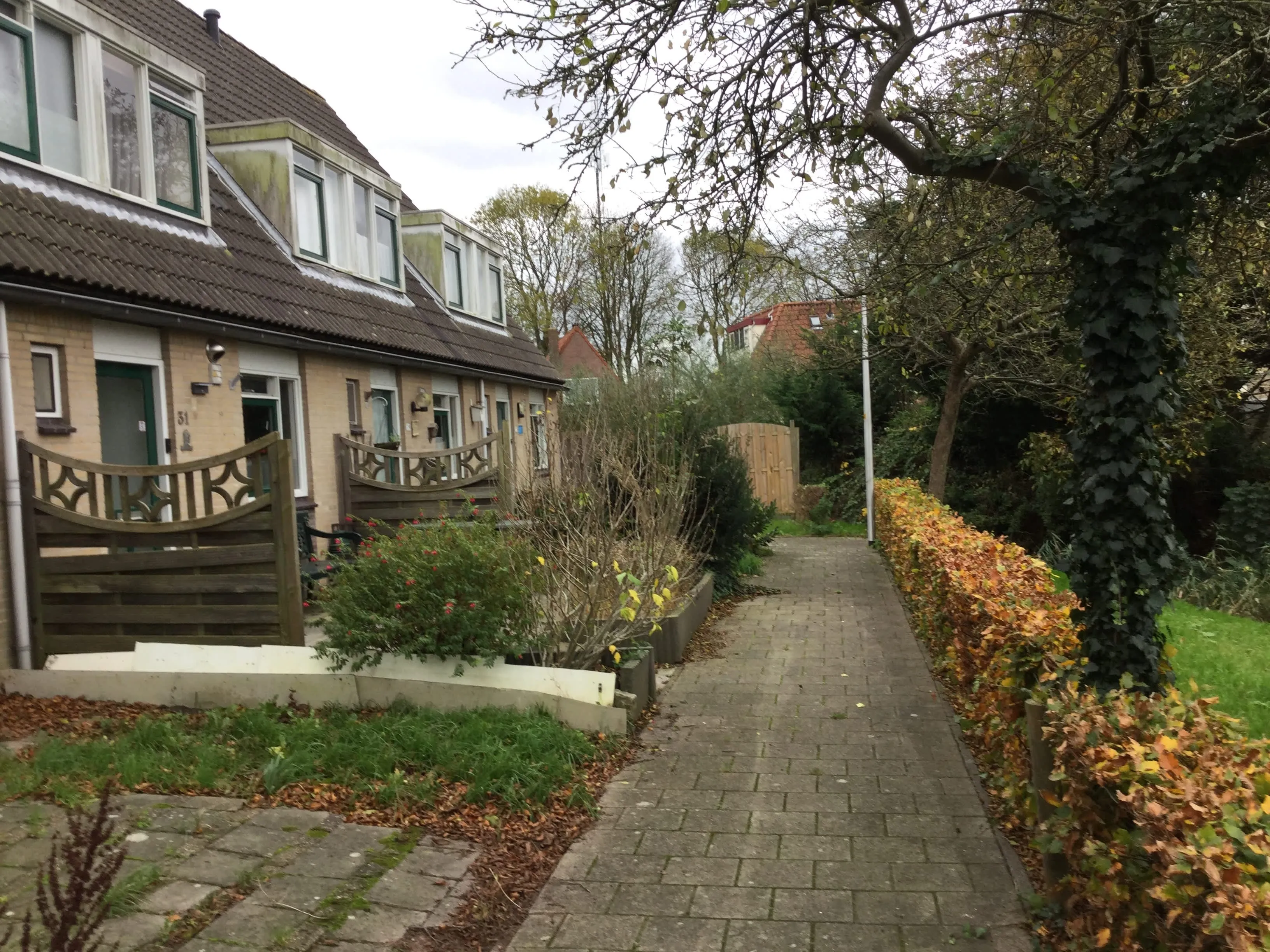 Wethouder Rijkeboerweg