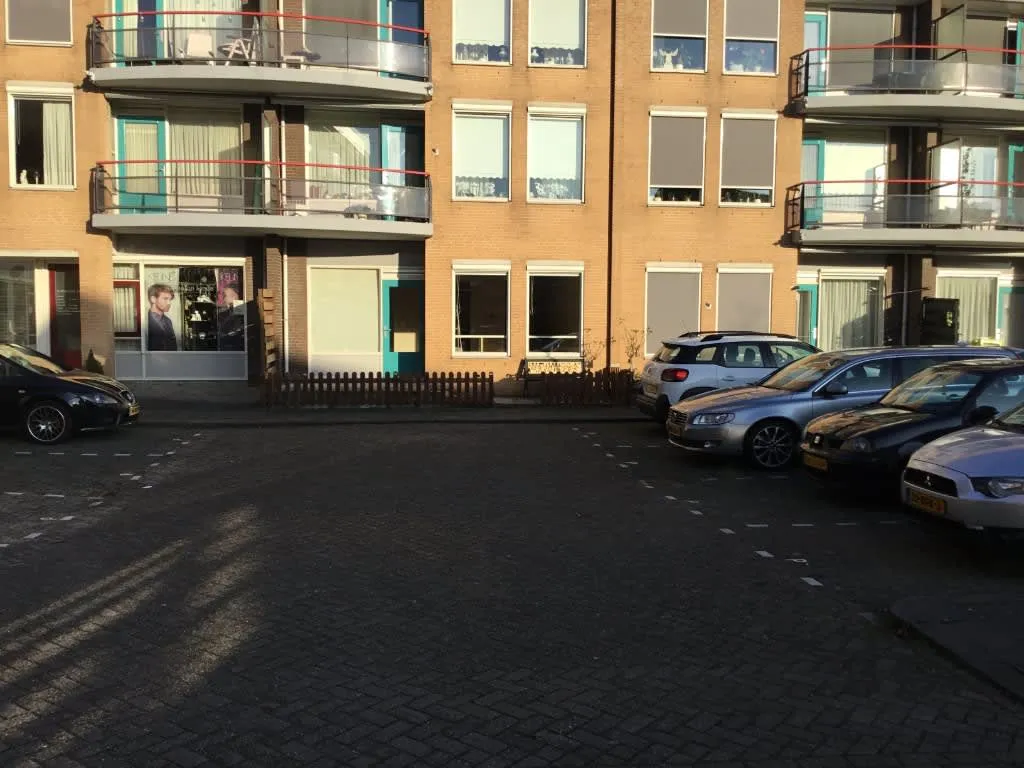 Ooievaar