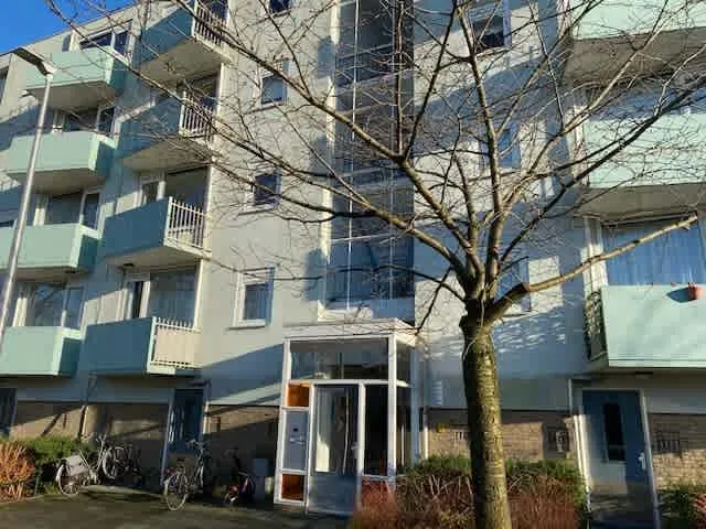Schonauwensingel