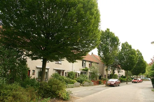 De Kievit
