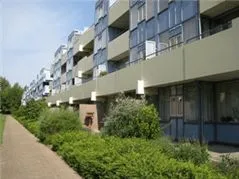 Madeliefweide