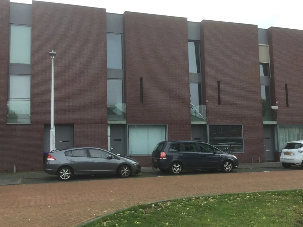 Vlindersingel