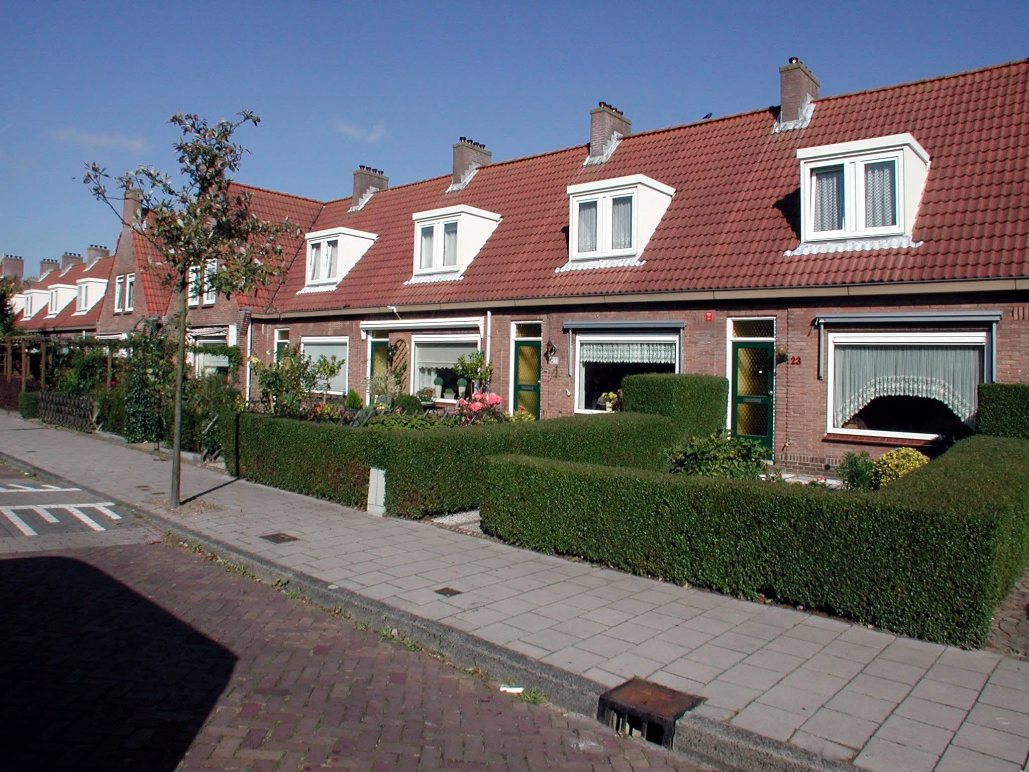 Van Baerlestraat