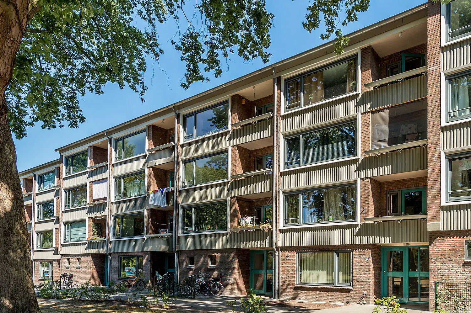 Isseltseveld
