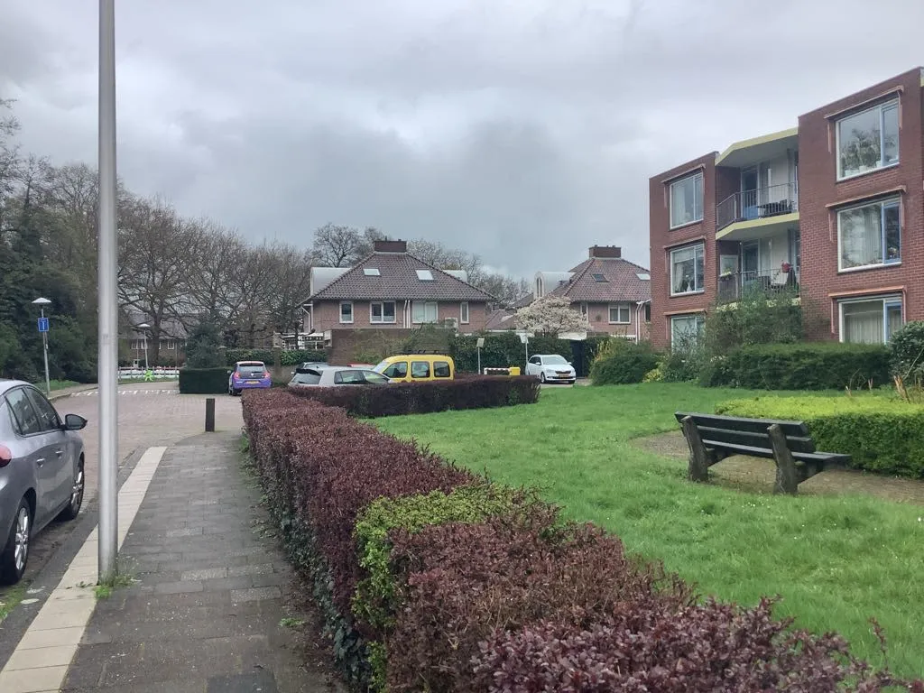 Ornsteinsingel