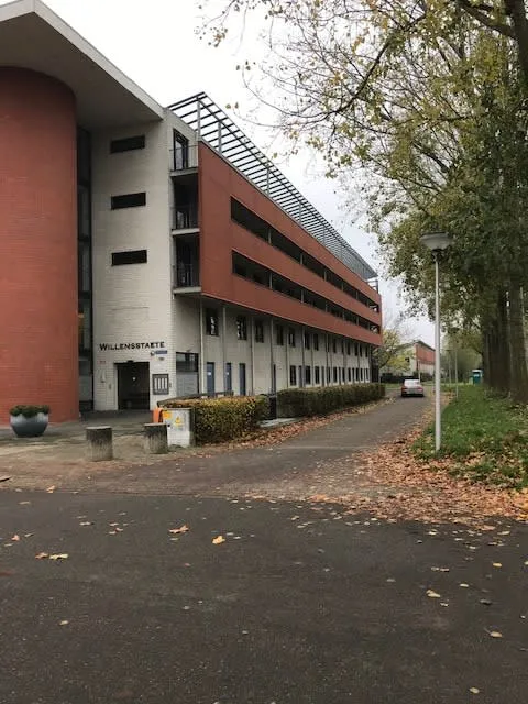 Willensplein