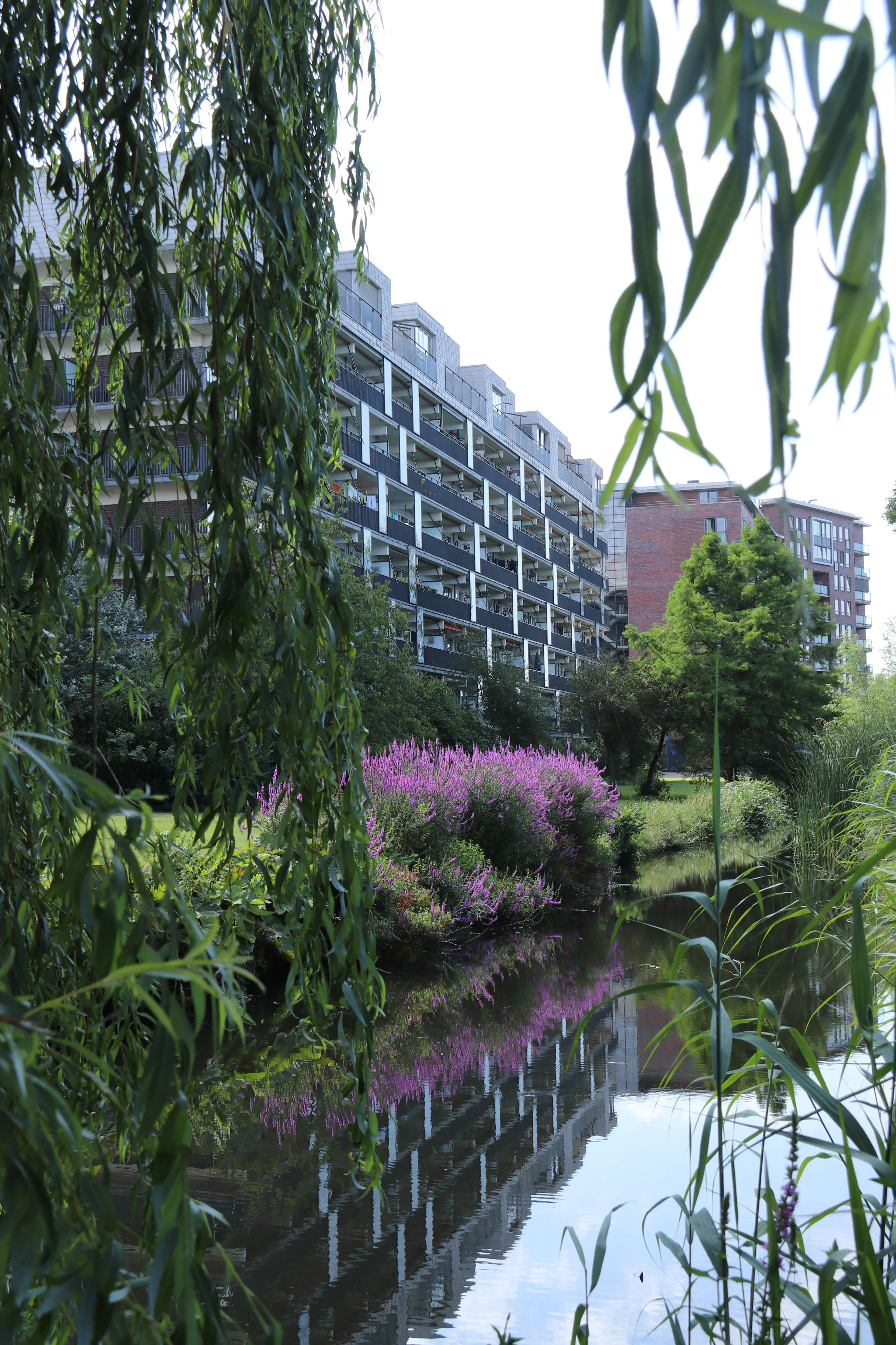 Voermanstraat