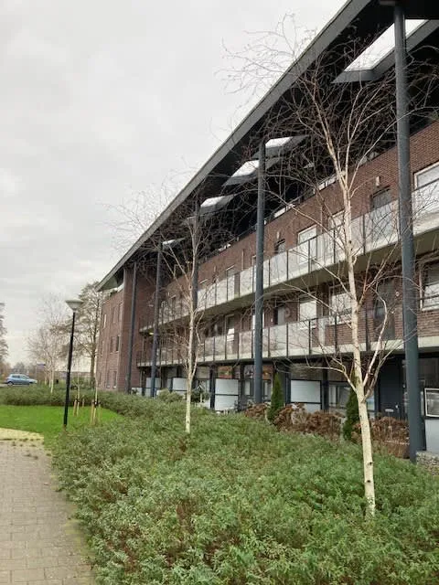 Zwaluw