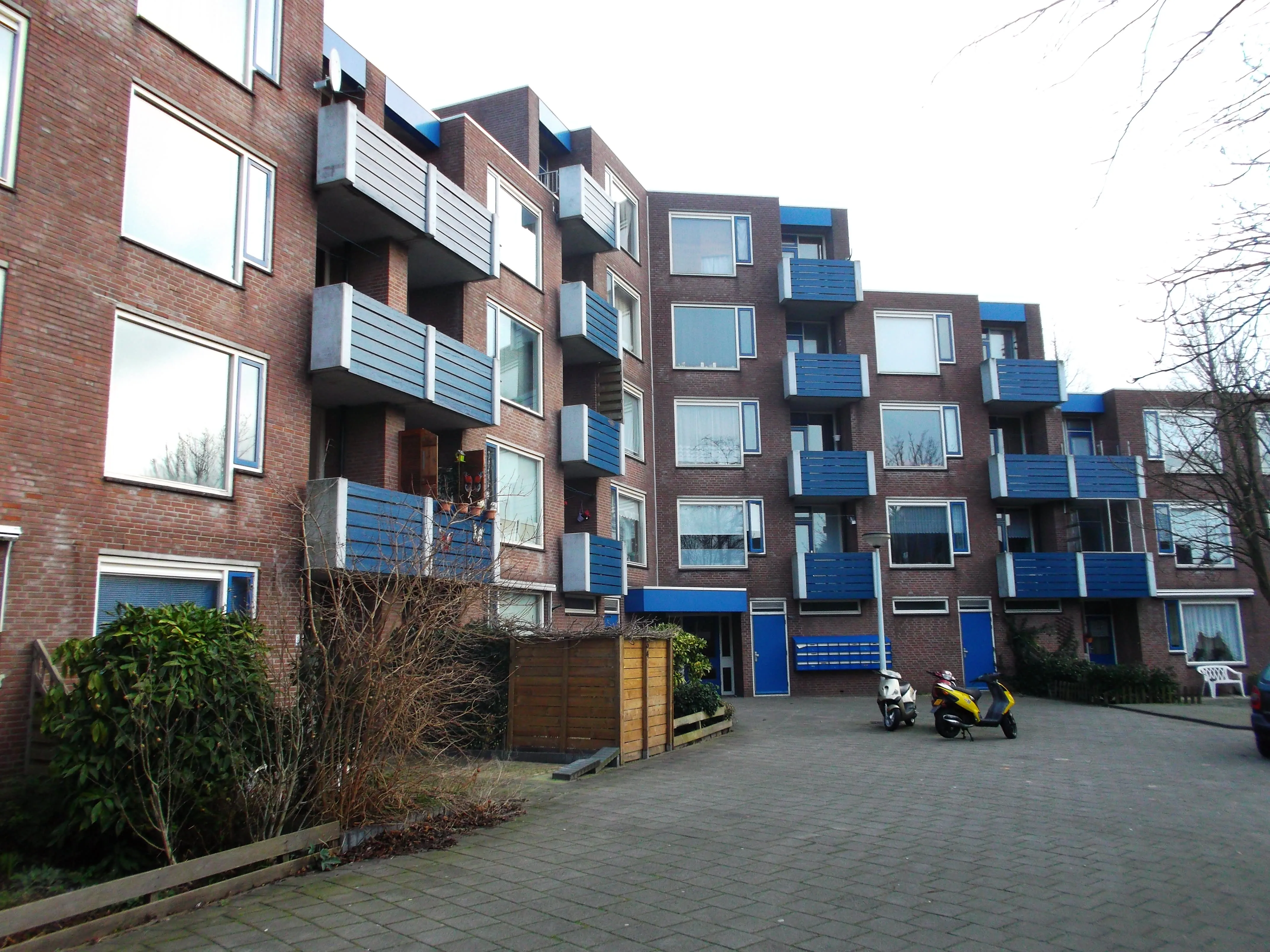 Leoniden