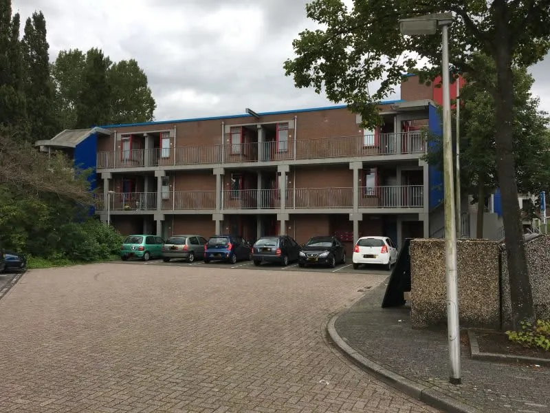 Zwanebloem