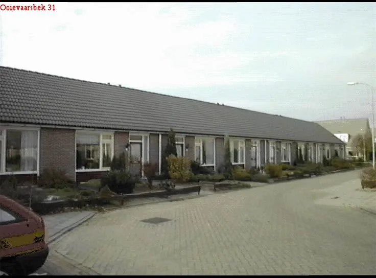 Ooievaarsbek