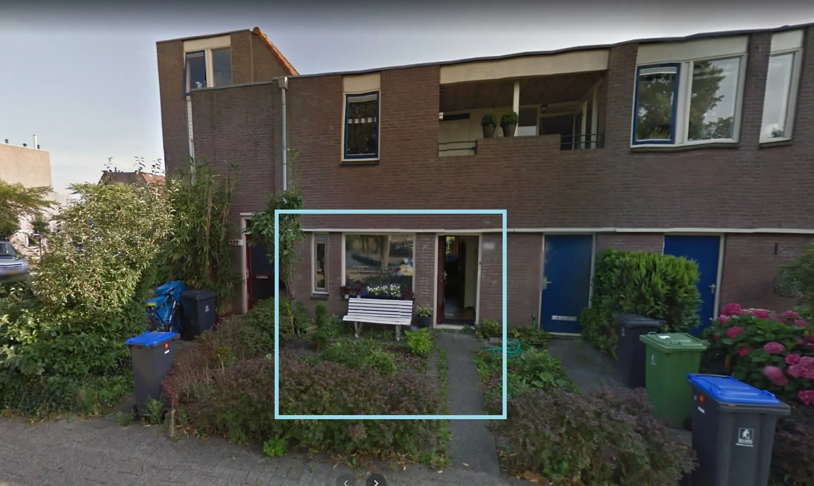 Paardebloem