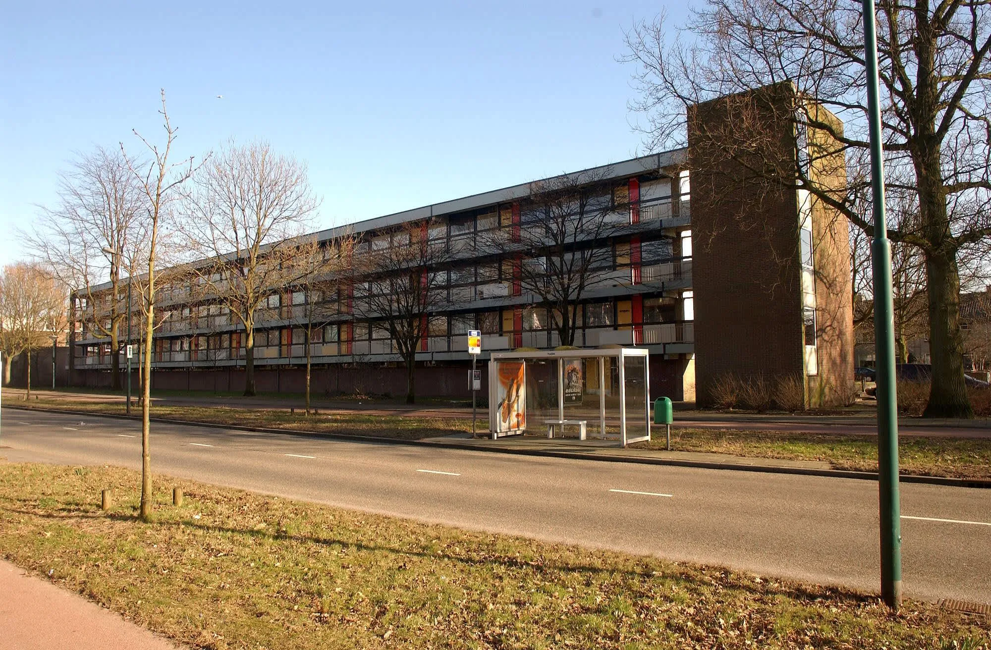 Kamperfoeliestraat