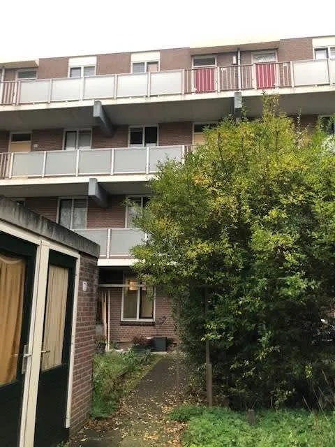 Schermwal
