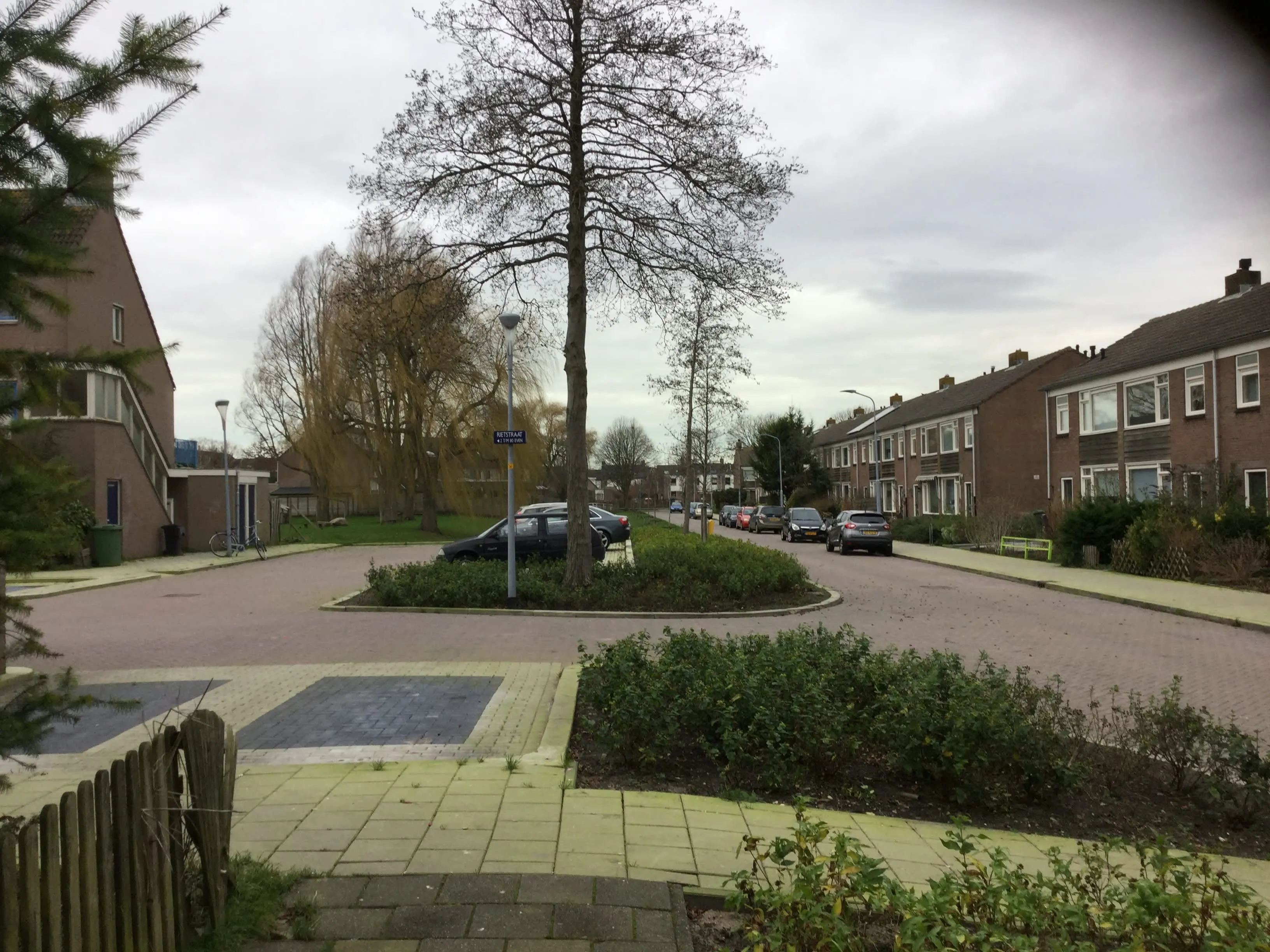 Rietstraat