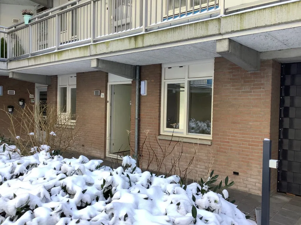 Barthold Entesstraat