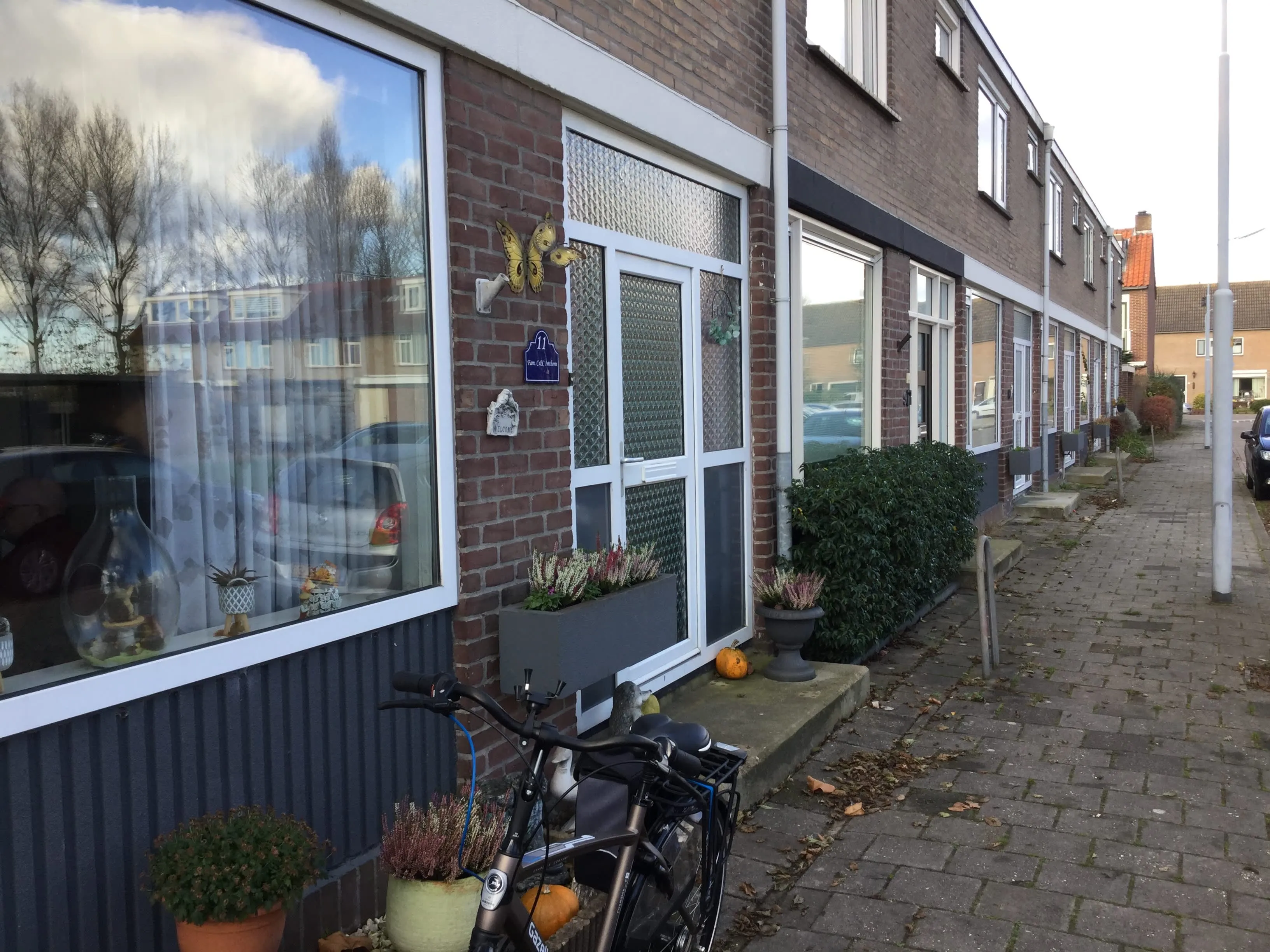 Torkruidstraat