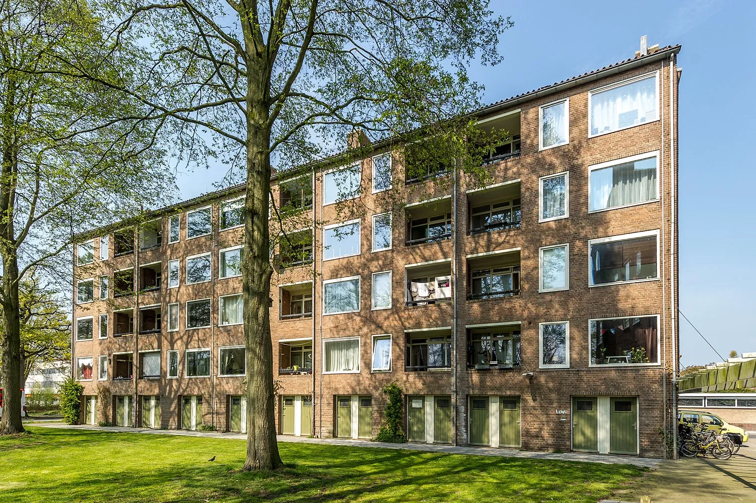 Haydnstraat