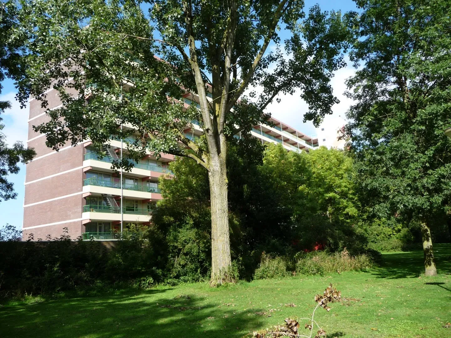 Groenendaal