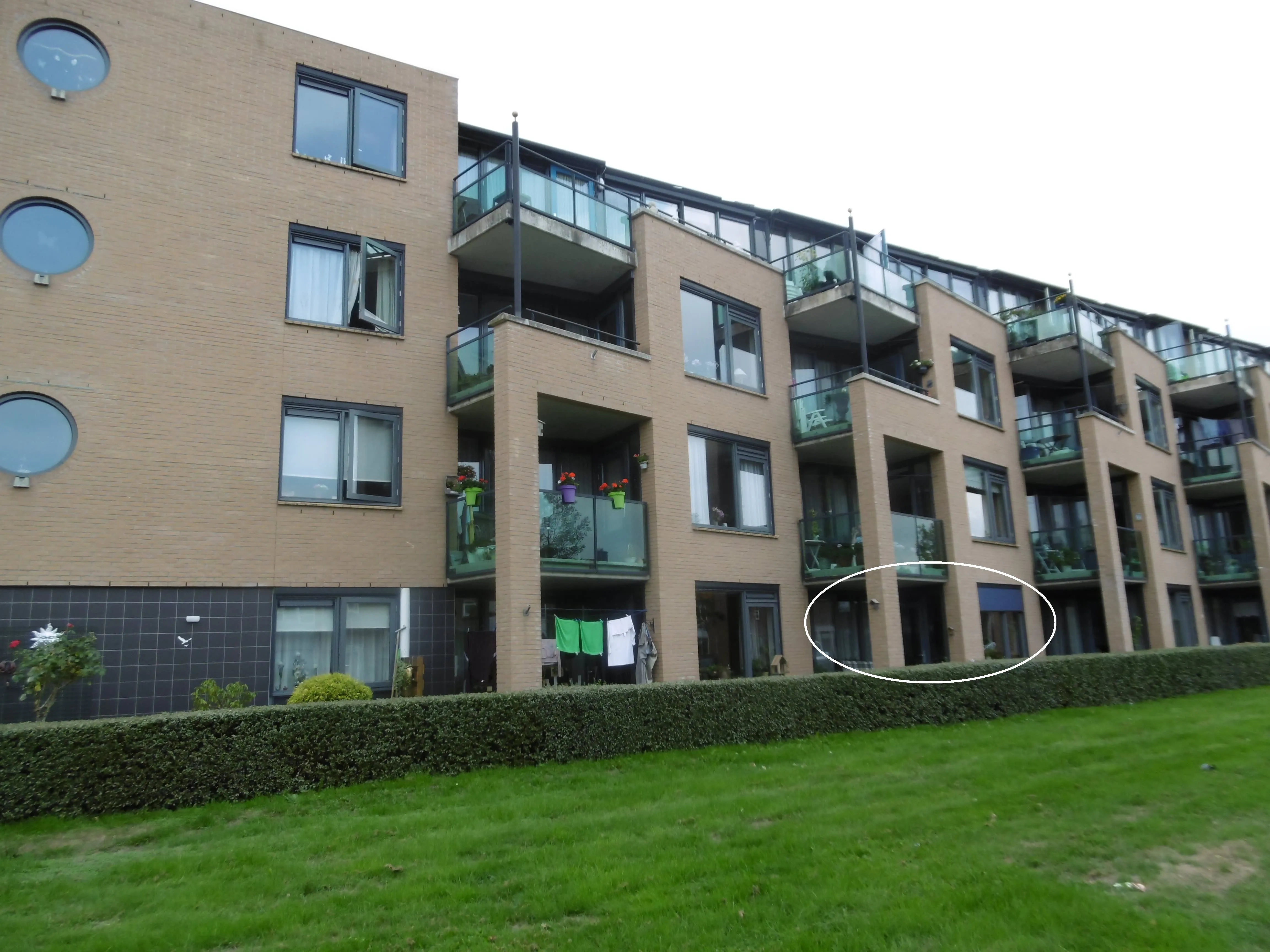 Reigerstraat