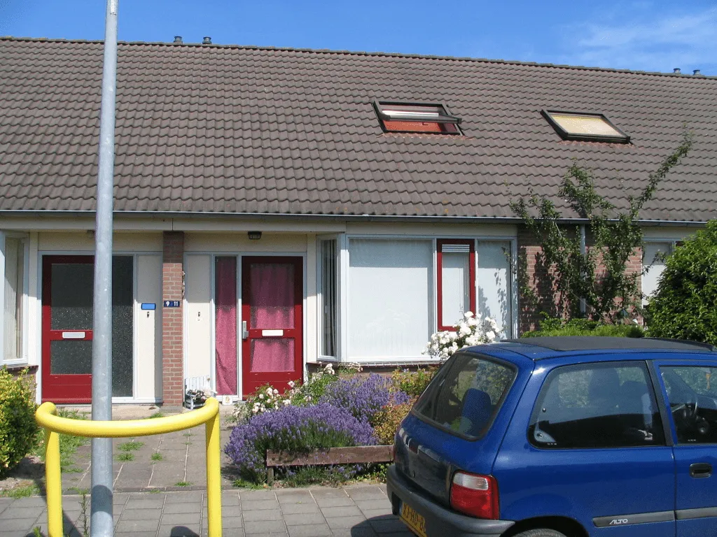 Dorsvlegel