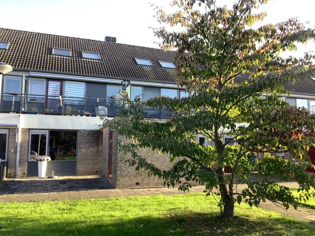 Zwarte Paard
