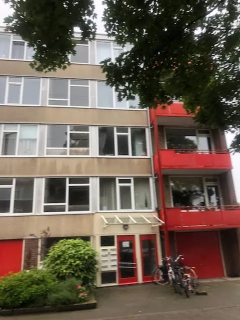 Nicolaas Maesstraat
