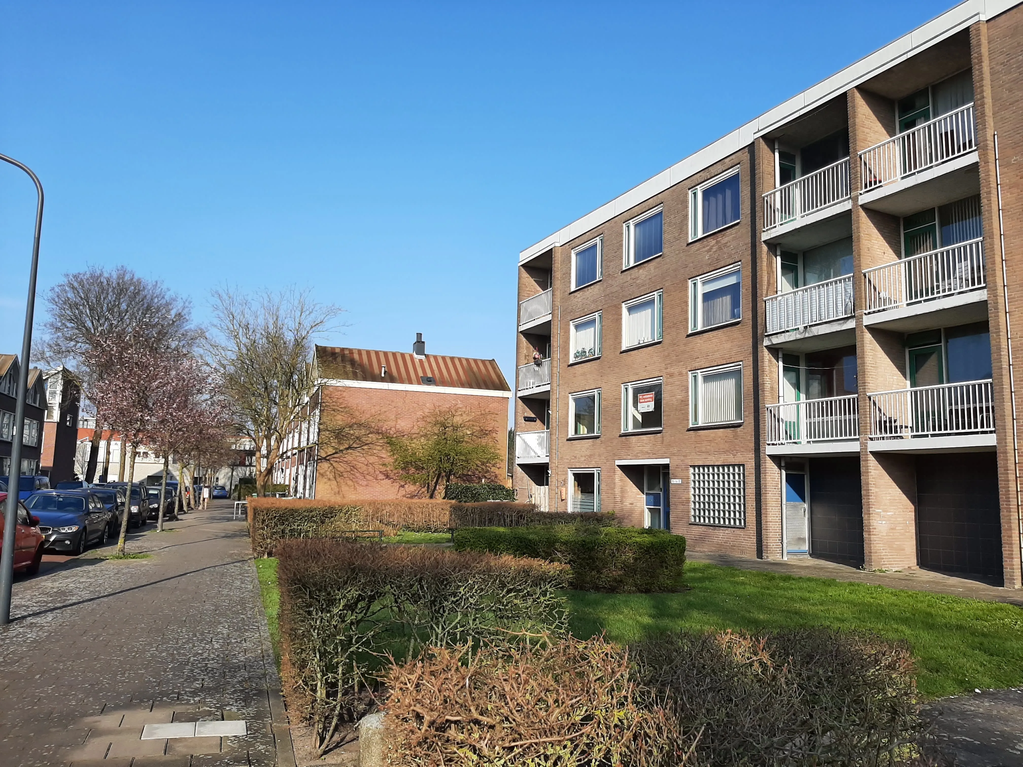 Adlerstraat