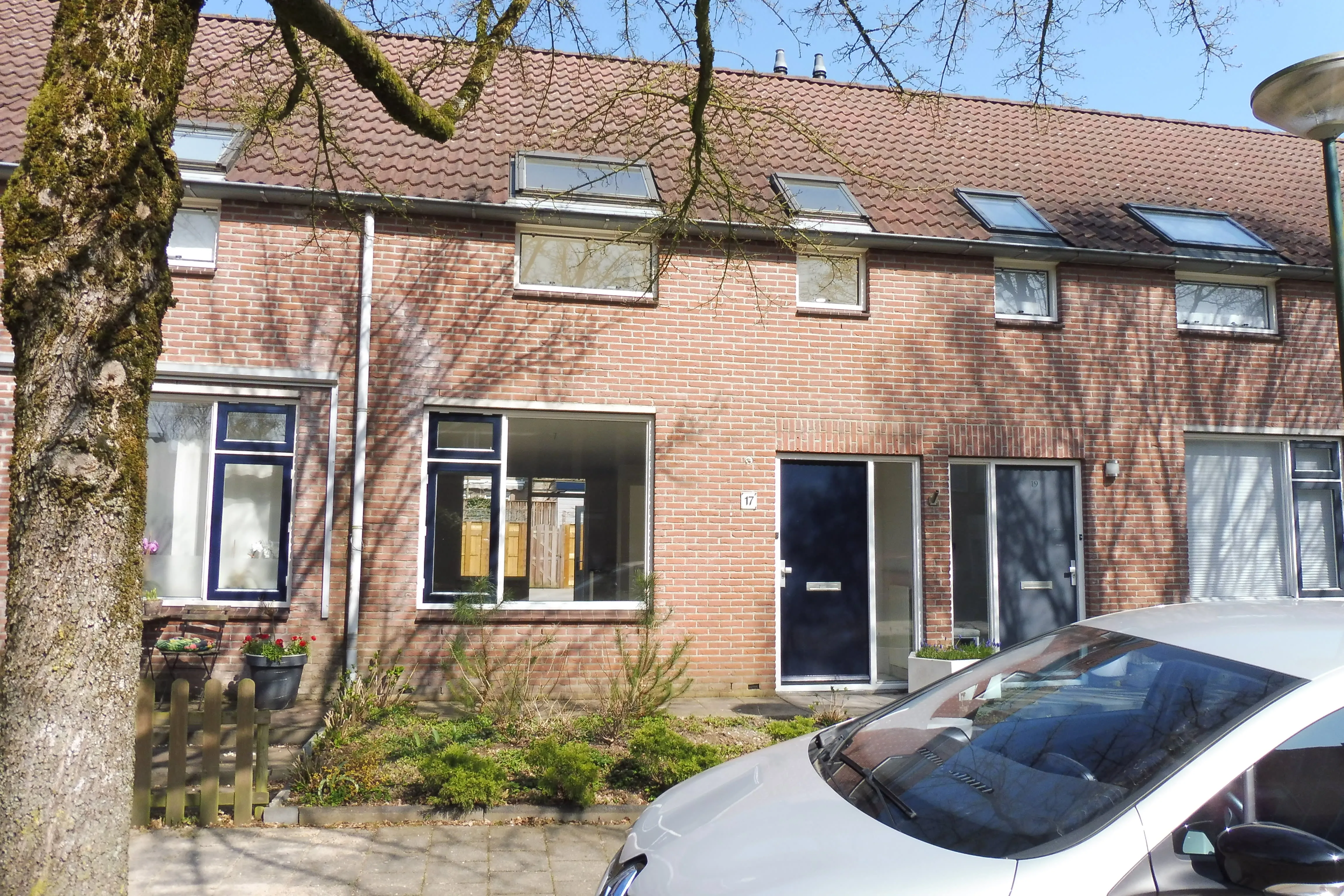 Domineessteek