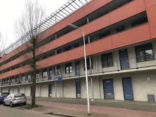 Willensplein