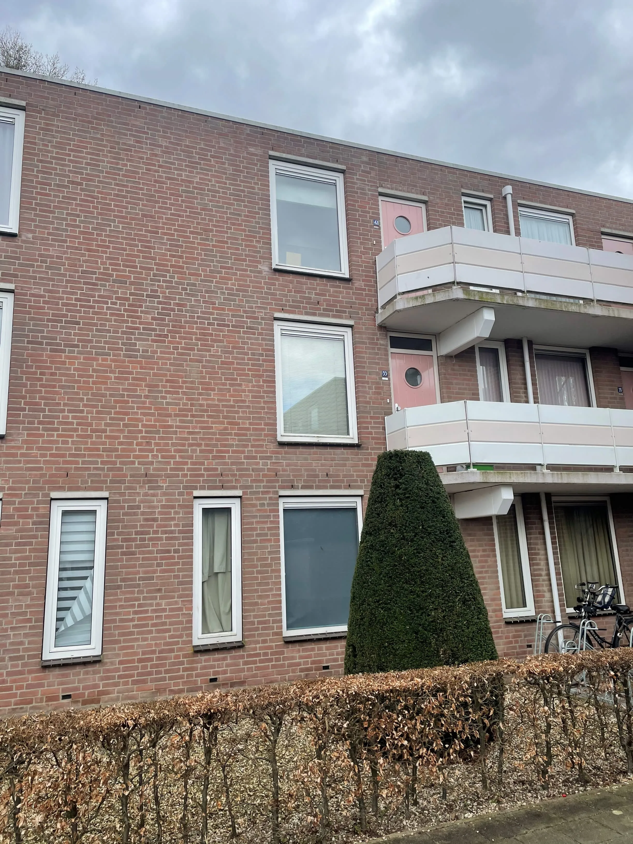 Betsy Perkstraat