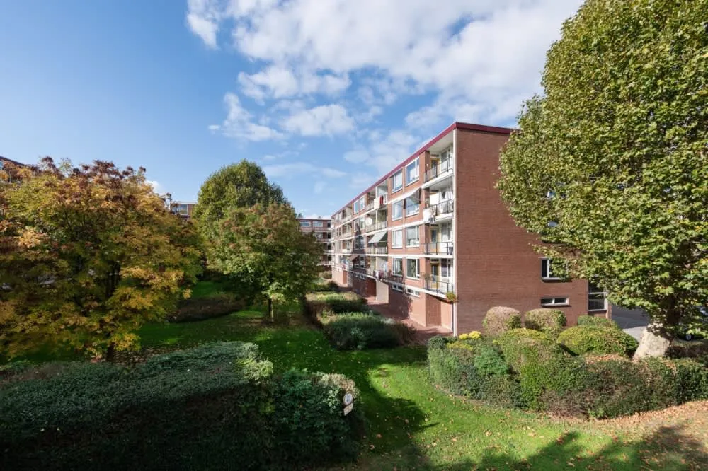 Rijnstraat