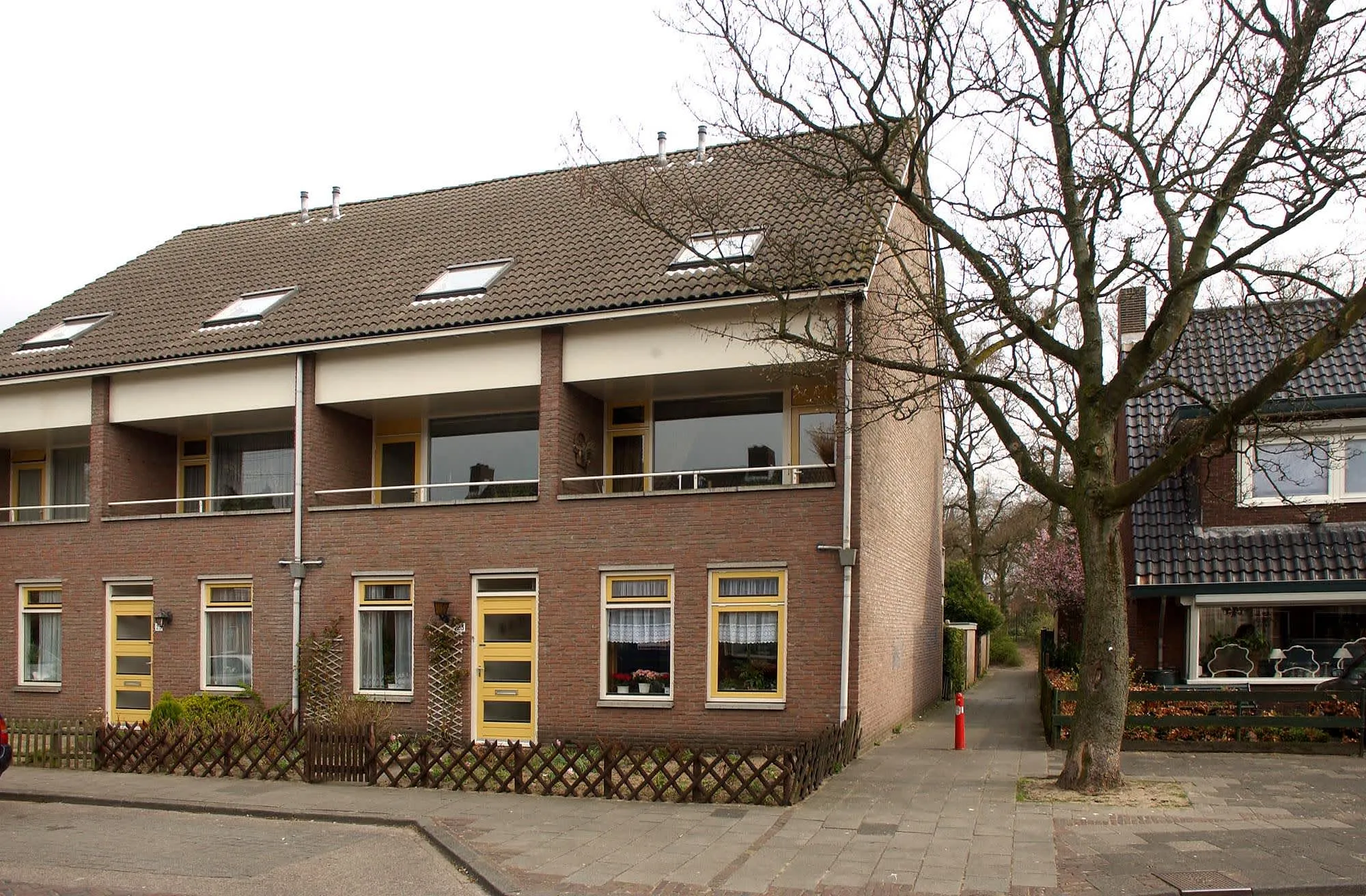 Tulpstraat