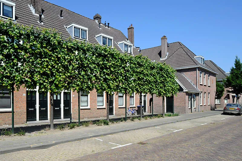 Waalstraat
