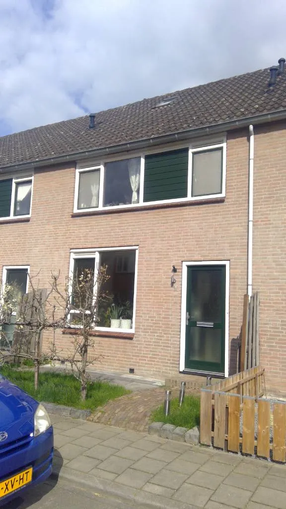 Van den Boetzelaerlaan