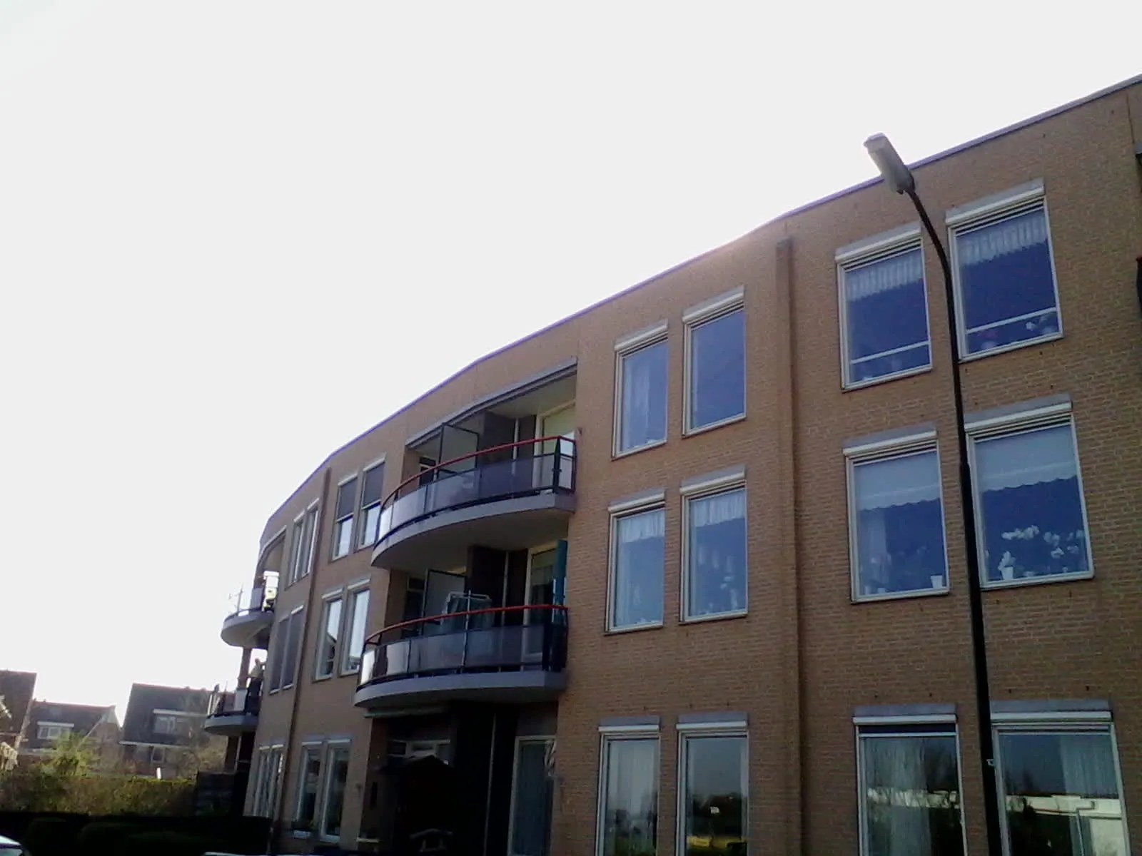 Ooievaar